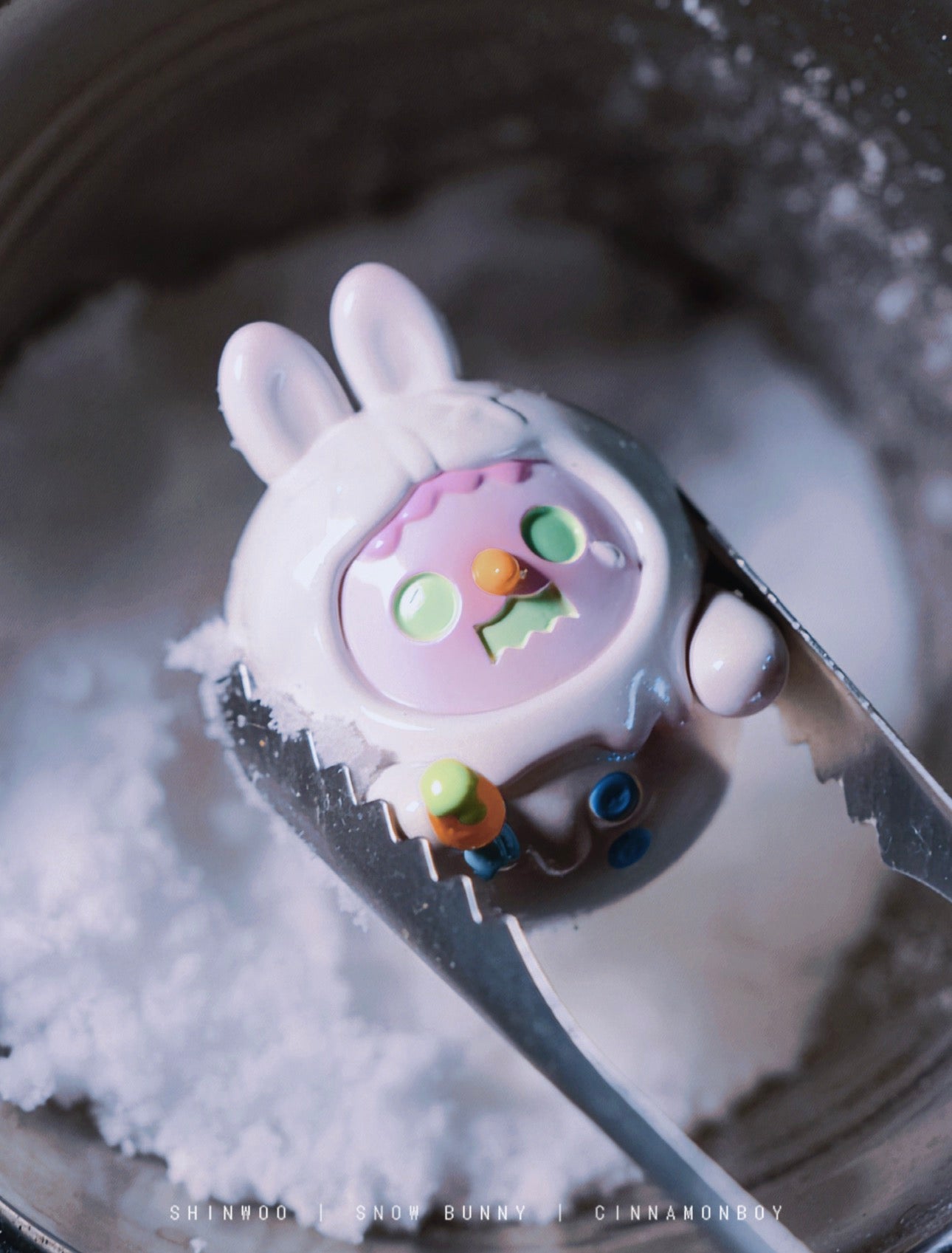 Snow Bunny 63% ShinWoo hangcard