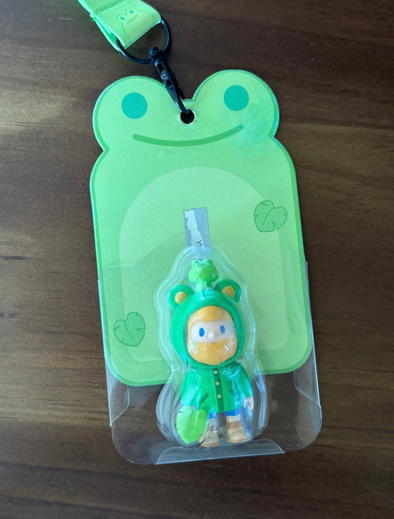 Rainy BOB Hangcard Frog